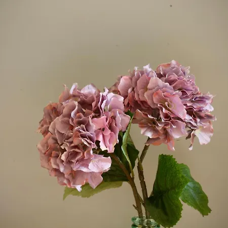 Like Iii - Com 2 Quartos, Ideal Familias E Amigos *