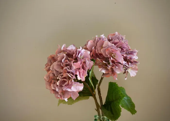 Like Iii - Com 2 Quartos, Ideal Familias E Amigos *